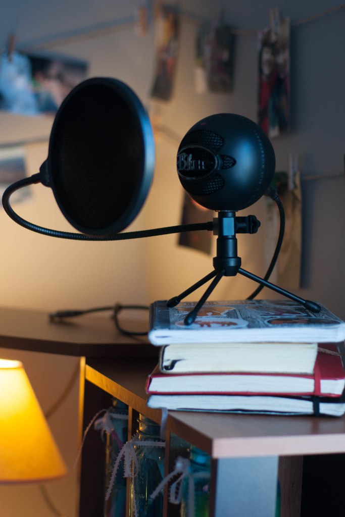 Kristin's Blue Microphone